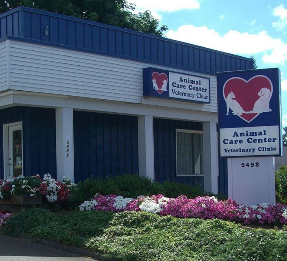 Animal Care Center Veterinary Clinic - vet building